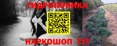 прущие крисы Тулун