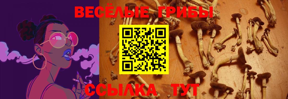 Псилоцибиновые грибы Magic Shrooms Новоалтайск